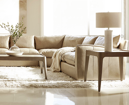 Contemporary grey sectional in a living room